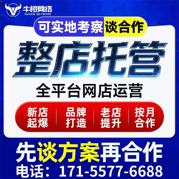 哈密电商代运营