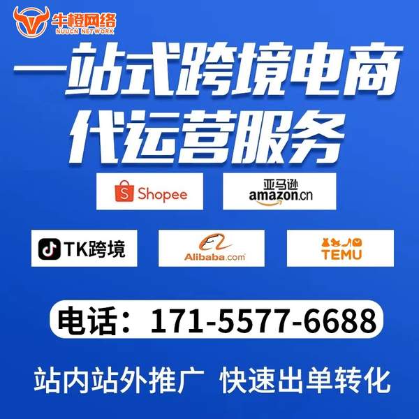 哈密电商代运营